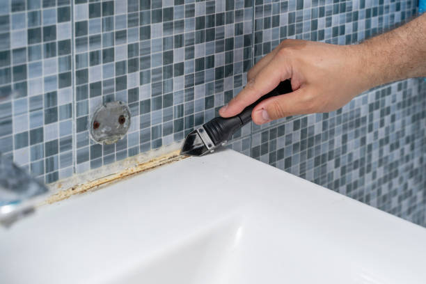 Best Black Mold Remediation in Scottsville, NY